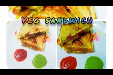 ||Street Style Sandwich|| Tasty, healthy & hygienic recipe||