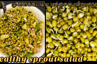 healthy sprout salad recipe in tamil | moong sprout salad |healthy salad recipe in tamil | sprout