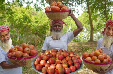 Pomegranate Healthy Juice - Fruits Juice Recipe of Grandpa for Old Age Unfortunate People