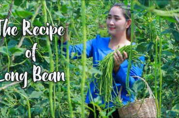 The recipe of long bean from organic family farm in my country | Healthy food
