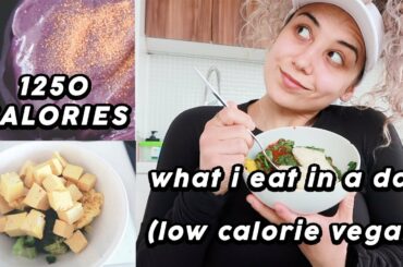 What I Eat In A Day (Low Calorie Vegan)