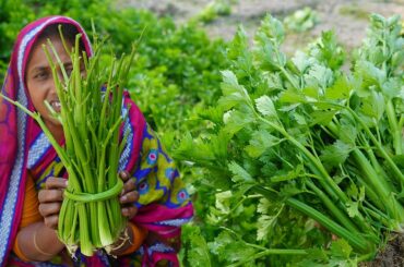 Farm Fresh Celery Chicken Recipe Incredible Healthy Veg Celery Cooking BONELESS CHICKEN CURRY RECIPE
