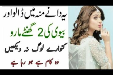 weight loss recipes for lunch and dinner