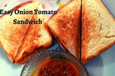 Easy Veg Sandwich Recipe | Onion Tomato Sandwich Making | Tasty Breakfast recipes | Food Stroke