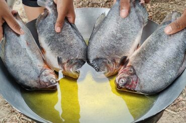 EASY FISH FRY | Yummy Fried Fish Recipe with Mango Sauce | Healthy Fish Recipes