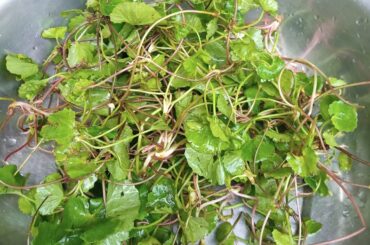 How to make Centella Asiatica Pennywort Salad Naga Style Salad Recipe Healthy Salad Healthy Food