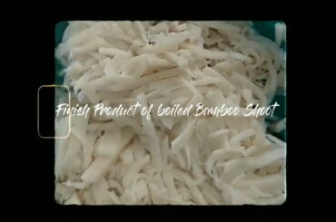 Bamboo Shoot with Nettle Leaf | Affordable and Healthy Recipes