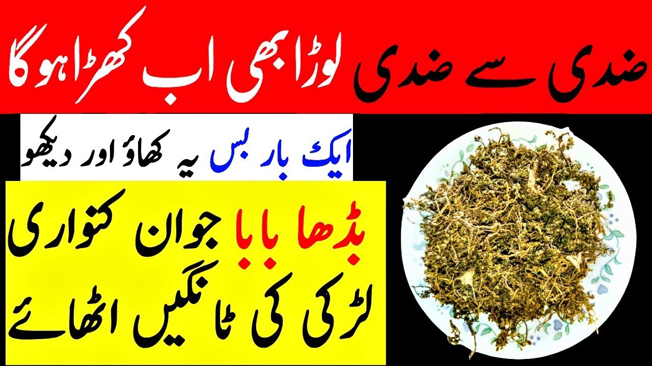 6 Super Healthy Benefits Of Ramadan Best Dry Ginger Powder Recipe For Skin, Hair & Weight Loss 6 Super Healthy Benefits Of Ramadan Best Dry Ginger Powder Recipe For Skin, Hair & Weight Loss