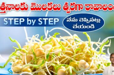 Simple Tips to Make Sprouts at Home | Healthy and Nutritious Breakfast | Dr. Manthena's Health Tips