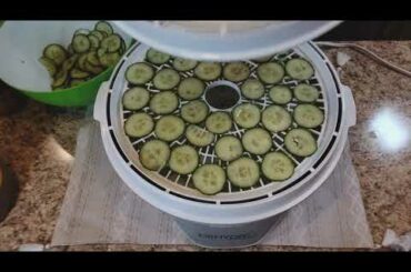 Keto/Low Carb Snack! Cucumber Chips! Healthy, low calorie, and delicious!!