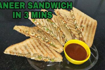 PANEER SANDWICH | Healthy Snack Recipe | TASTY FLAVOURS