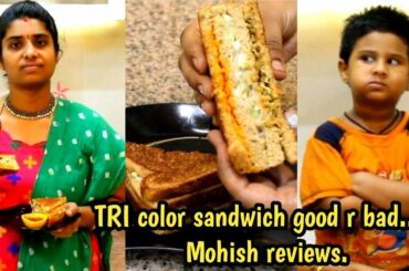 Tricolor sandwich/5 mins snack/healthy/corona patients snack item/must try recipe