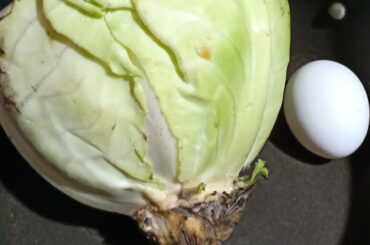 Instant breakfast recipes | Easy breakfast recipe | Healthy breakfast recipe | New breakfast recipes