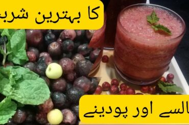 Falsa Sharbat Recipe Easy & Quick by Bina Khalid || Homemade summer drink || Falsay Podina ka juice