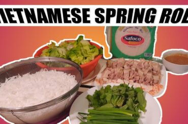 Vietnamese spring roll for healthy dinner