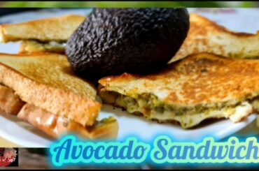 Healthy Protein Rich Avocado Sandwich | Quick & Easy Brekke