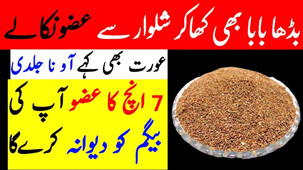 Healthy Super Food Recipes For Weight loss Healthy Super Food Recipes For Weight loss