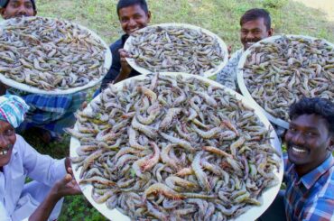 PRAWNS GRAVY Recipe | Villagers cooking Prawns Masala | Shrimp Curry | Healthy Village Food