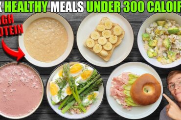 Six Healthy High Protein Meals Under 300 Calories **Easy**