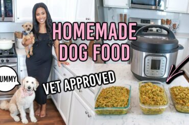 VET APPROVED HOMEMADE + HEALTHY DOG FOOD RECIPE | COOKING FOR YOUR DOG | PART 4