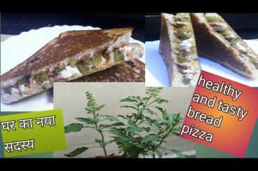 My morning to evening routine(healthy and tasty bread pizza sanwich)