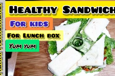 No Mustard, No Cheese, Easy Sandwich Recipe | Healthy Sandwich Recipe | Hanni Homemaker
