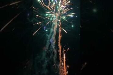 FRUIT SALAD | Colourful Healthy Fruits mixed salad recipe | Fruits Cutting and Eating in Village