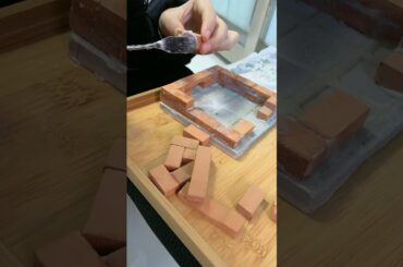 FRUIT SALAD | Colourful Healthy Fruits mixed salad recipe | Fruits Cutting and Eating in Village