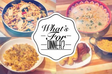 Pioneer Woman Recipes | What’s for Dinner | Quick and Easy | Affordable Meals