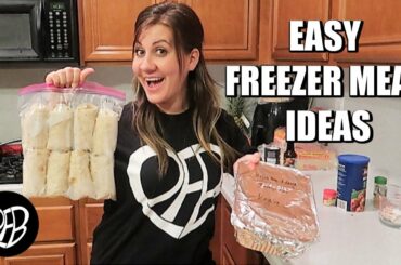 EASY FREEZER MEAL PREP | 2 BREAKFAST & DINNER FREEZER MEALS | PHILLIPS FamBam COOK WITH ME
