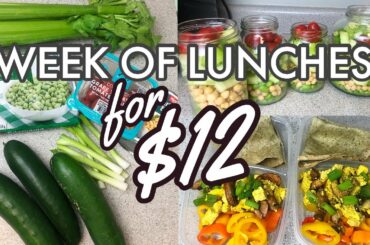 10 MEALS FOR $12 | 15 Minute Extreme Budget Meal Prep | Healthy Meals Under $1.50 Each
