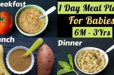 1 Day Meal Plan for 6M-3Yr Babies | 3 Healthy Homemade Baby Food Recipes | Breakfast, Lunch, Dinner