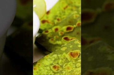 Palak Paratha Recipe - Spinach Paratha Recipe Weight Loss Recipe Super Healthy by Recipe in Minutes