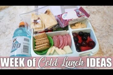 Easy Cold Lunch Ideas for Work or Back to School | August 2019