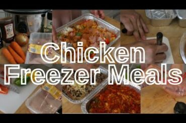 Healthy Chicken Freezer Meals / Family Meals / Meal Prep / Freezer Meals / Healthy Freezer Meals