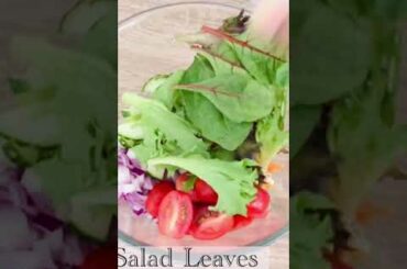 Healthy Salad Recipe