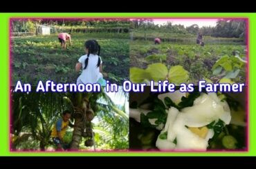 Vegetable Farmer / Cooking Healthy  Lunch / Pagdidilig ng Gulay