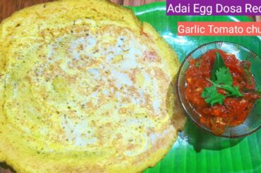 Egg Adai Dosa with garlic tomato chutney / Healthy dosa recipe in tamil /wesley food yummy dosa