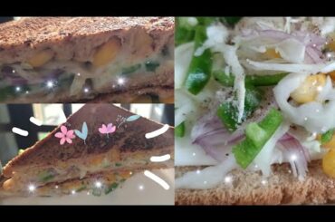 Healthy sandwich recipe//snack recipe for weight loss