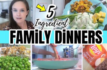 SURPRISINGLY DELICIOUS FIVE INGREDIENT DINNERS! | EASY & QUICK FAMILY MEALS