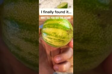 Healthy Keto Recipe| Low Card Keto Recipes| Recipe Shorts #Keto #recipes #Shorts #YoutubeShort #45