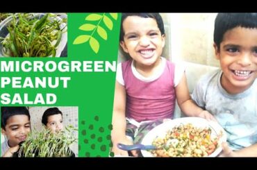 Masala peanut chaat/ microgreen peanut salad/ Healthy salad/ microgreen salad