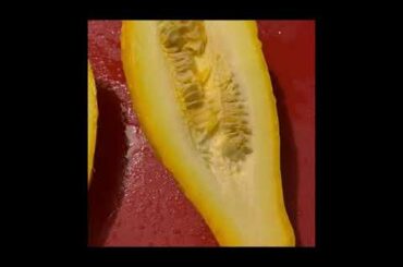 Sharing My Healthy Dinner Recipe to Prepare Peppers with Yellow Squash