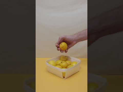 Keto Fresh Healthy Recipes #Shorts #Keto Diet #Weight Loss 1458 Keto Fresh Healthy Recipes #Shorts #Keto Diet #Weight Loss 1458