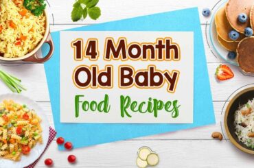 14 Month Old Baby Food Recipes