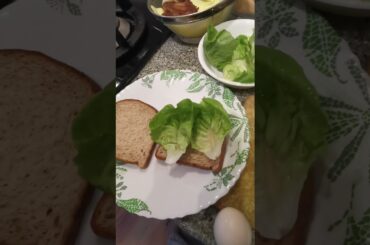 healthy sandwich 1