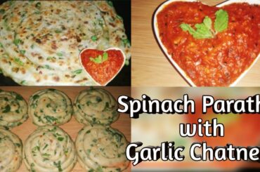 Palak Paratha || Garlic Chatney || Spinach Paratha With Garlic Chatney || Healthy Breakfast Recipe