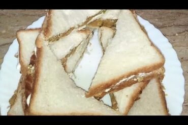 Shami Kabab Sandwich Recipe | Breakfast recipe | Kids lunch box idea | Taste Lab 360 | #shorts snack