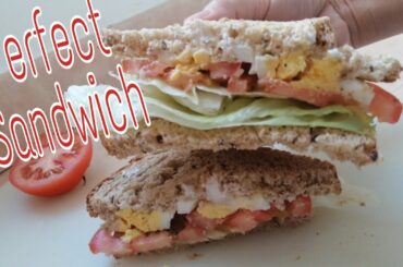 boiled egg sandwich for a healthy breakfast #Shorts #eggsandwich