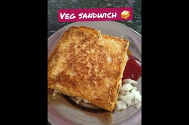 veg sandwich | onions ,carrot,tomato,cucumber |healthy sandwich #shorta #healthy